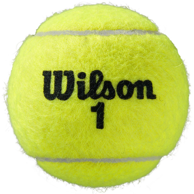 Piłki tenisowe Wilson Roland GARROS 4szt
